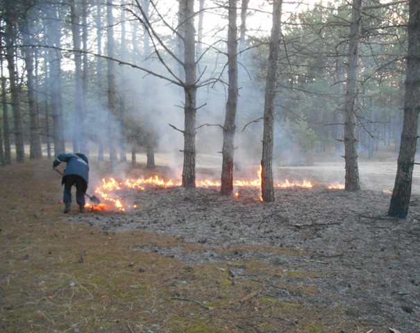 За добу ліквідовано чотири пожежі в екосистемах області